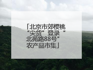 北京市郊樱桃“尖货”登录“北苑路88号”农产品市集