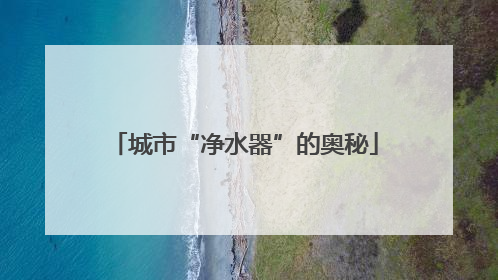 城市“净水器”的奥秘