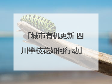 城市有机更新 四川攀枝花如何行动