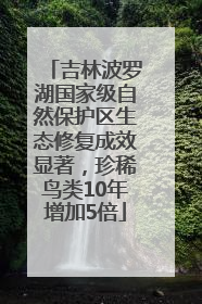 吉林波罗湖国家级自然保护区生态修复成效显著，珍稀鸟类10年增加5倍
