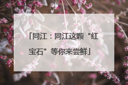 同江：同江这颗“红宝石”等你来尝鲜