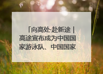 向高处·赴新途｜高途宣布成为中国国家游泳队、中国国家花样游泳队官方学习合作伙伴