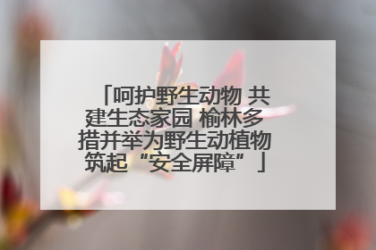 呵护野生动物 共建生态家园 榆林多措并举为野生动植物筑起“安全屏障”