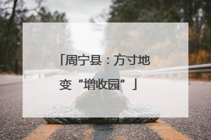周宁县：方寸地变“增收园”