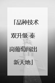 品种技术双升级 秦岗葡萄闯出新天地