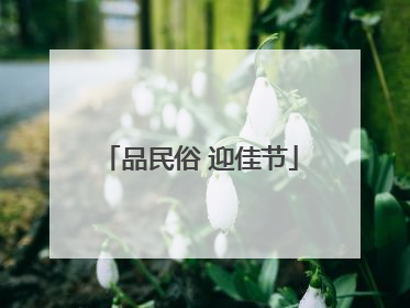 品民俗 迎佳节