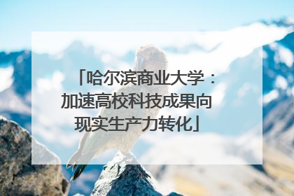 哈尔滨商业大学：加速高校科技成果向现实生产力转化