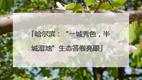 哈尔滨：“一城秀色，半城湿地”生态答卷亮眼