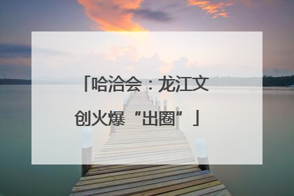 哈洽会：龙江文创火爆“出圈”