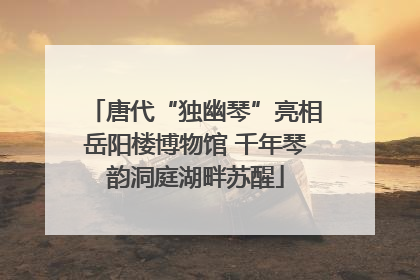 唐代“独幽琴”亮相岳阳楼博物馆 千年琴韵洞庭湖畔苏醒