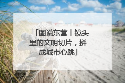 图说东营丨镜头里的文明切片，拼成城市心跳