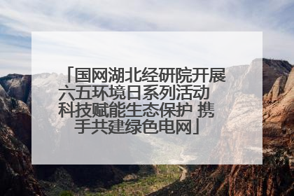 国网湖北经研院开展六五环境日系列活动 科技赋能生态保护 携手共建绿色电网