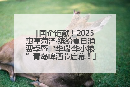 国企钜献！2025惠享菏泽·缤纷夏日消费季暨“华瑞·华小粮”青岛啤酒节启幕！