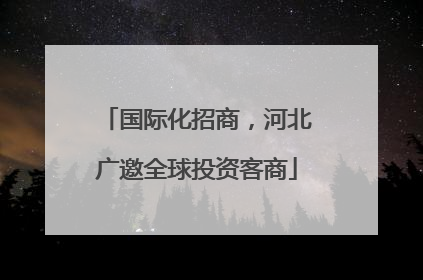 国际化招商，河北广邀全球投资客商