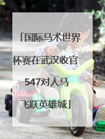 国际马术世界杯赛在武汉收官 547对人马飞跃英雄城