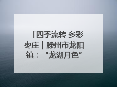 四季流转 多彩枣庄｜滕州市龙阳镇：“龙湖月色”向日葵花海 绘就乡村振兴新画卷