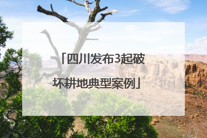 四川发布3起破坏耕地典型案例