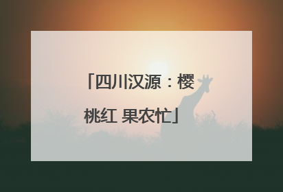四川汉源：樱桃红 果农忙