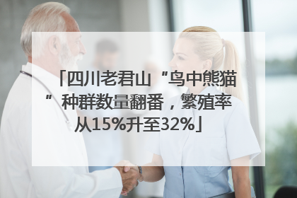 四川老君山“鸟中熊猫”种群数量翻番，繁殖率从15%升至32%