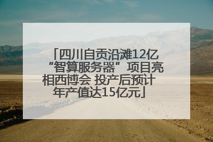 四川自贡沿滩12亿“智算服务器”项目亮相西博会 投产后预计年产值达15亿元