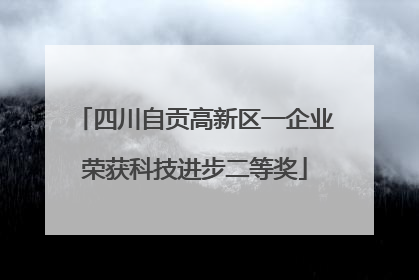 四川自贡高新区一企业荣获科技进步二等奖
