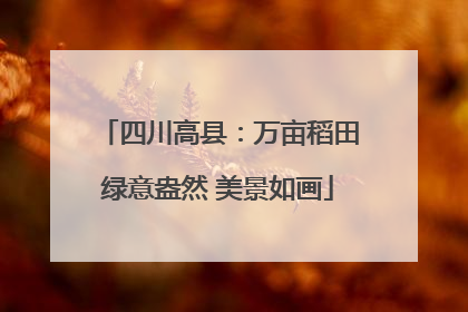 四川高县：万亩稻田绿意盎然 美景如画