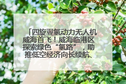 四旋翼氢动力无人机威海首飞！威海临港区探索绿色“氢路”，助推低空经济向长续航、大载重“进化”
