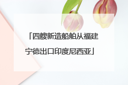 四艘新造船舶从福建宁德出口印度尼西亚