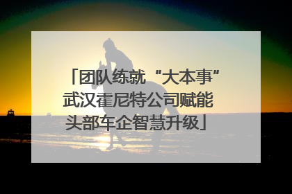 团队练就“大本事” 武汉霍尼特公司赋能头部车企智慧升级