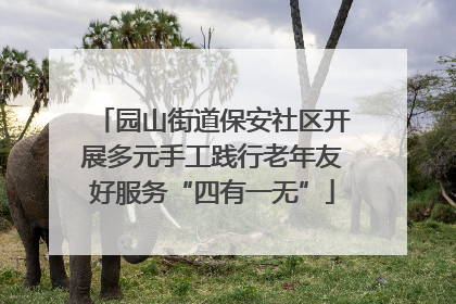 园山街道保安社区开展多元手工践行老年友好服务“四有一无”