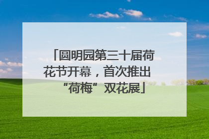 圆明园第三十届荷花节开幕，首次推出“荷梅”双花展