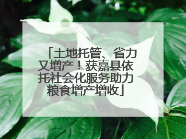 土地托管、省力又增产！获嘉县依托社会化服务助力粮食增产增收