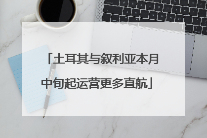 土耳其与叙利亚本月中旬起运营更多直航