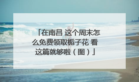 在南昌 这个周末怎么免费领取栀子花 看这篇就够啦（图）