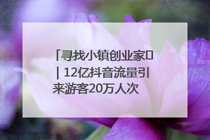 寻找小镇创业家㊱｜12亿抖音流量引来游客20万人次 “襄阳许三多”爆改家乡打造网红村