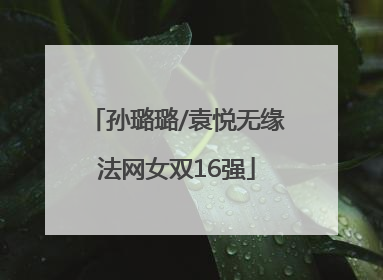 孙璐璐/袁悦无缘法网女双16强