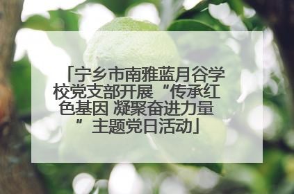 宁乡市南雅蓝月谷学校党支部开展“传承红色基因 凝聚奋进力量”主题党日活动