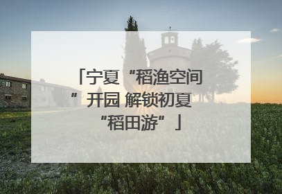 宁夏“稻渔空间”开园 解锁初夏“稻田游”