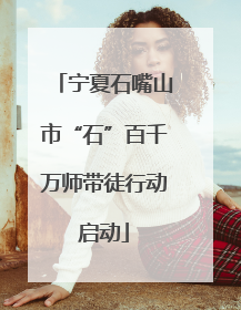 宁夏石嘴山市“石”百千万师带徒行动启动