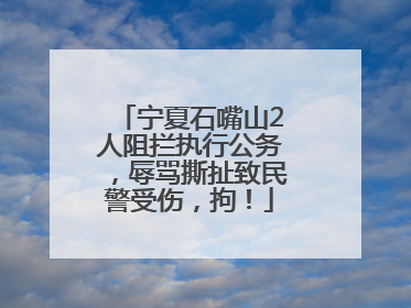 宁夏石嘴山2人阻拦执行公务，辱骂撕扯致民警受伤，拘！