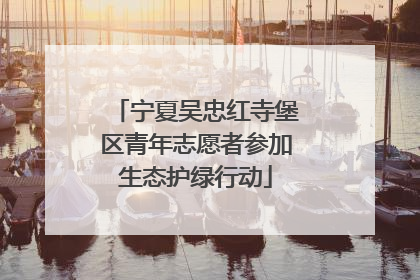 宁夏吴忠红寺堡区青年志愿者参加生态护绿行动