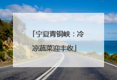 宁夏青铜峡：冷凉蔬菜迎丰收