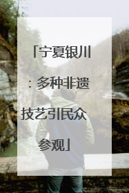 宁夏银川：多种非遗技艺引民众参观
