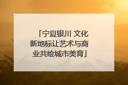 宁夏银川 文化新地标让艺术与商业共绘城市美育