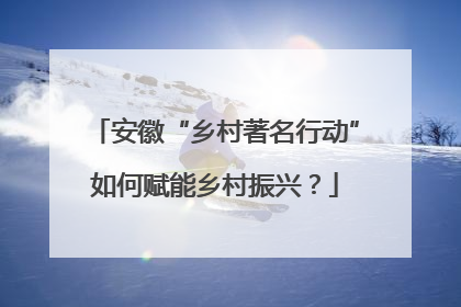 安徽“乡村著名行动”如何赋能乡村振兴？