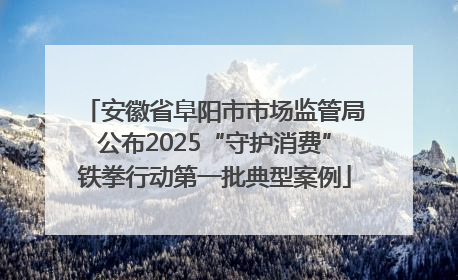 安徽省阜阳市市场监管局公布2025“守护消费”铁拳行动第一批典型案例