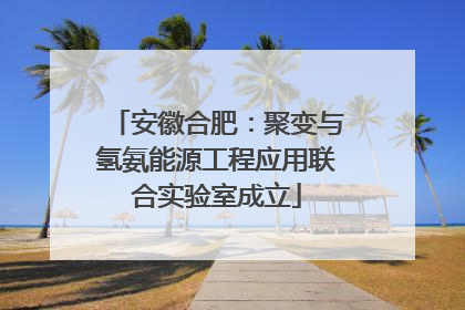 安徽合肥：聚变与氢氨能源工程应用联合实验室成立