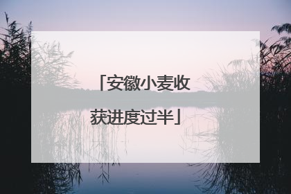 安徽小麦收获进度过半