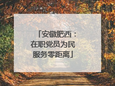 安徽肥西：在职党员为民服务零距离