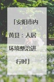 安阳市内黄县：人居环境整治进行时